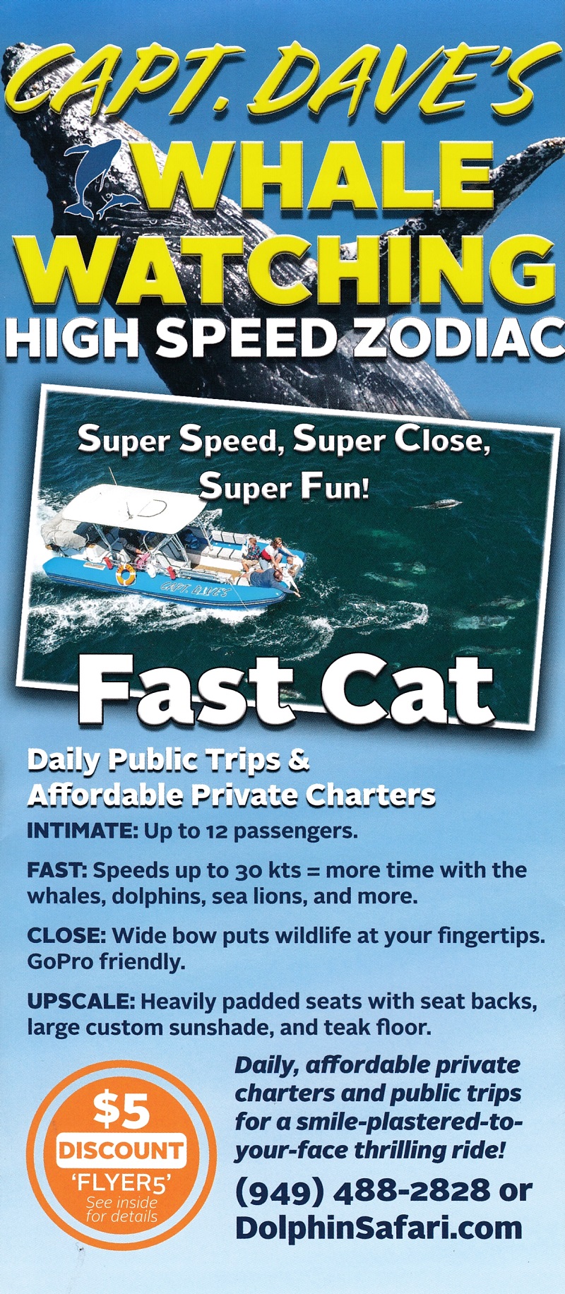 Capt. Dave's Dolphin Safari Back Brochure Cover