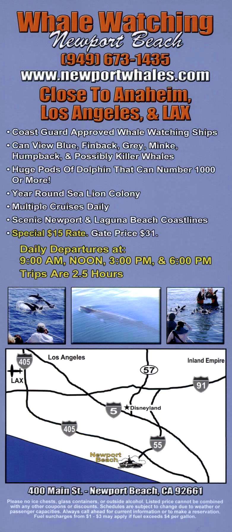 Newport Landing Whale Watching Back Brochure Cover