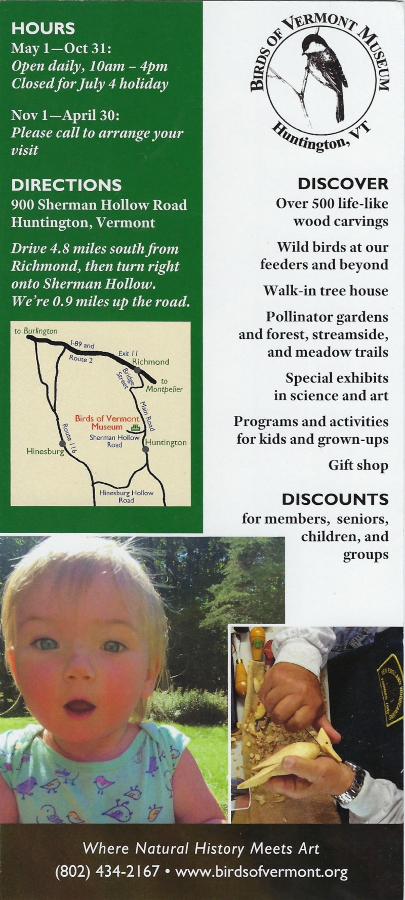 The Birds of Vermont Museum brochure thumbnail