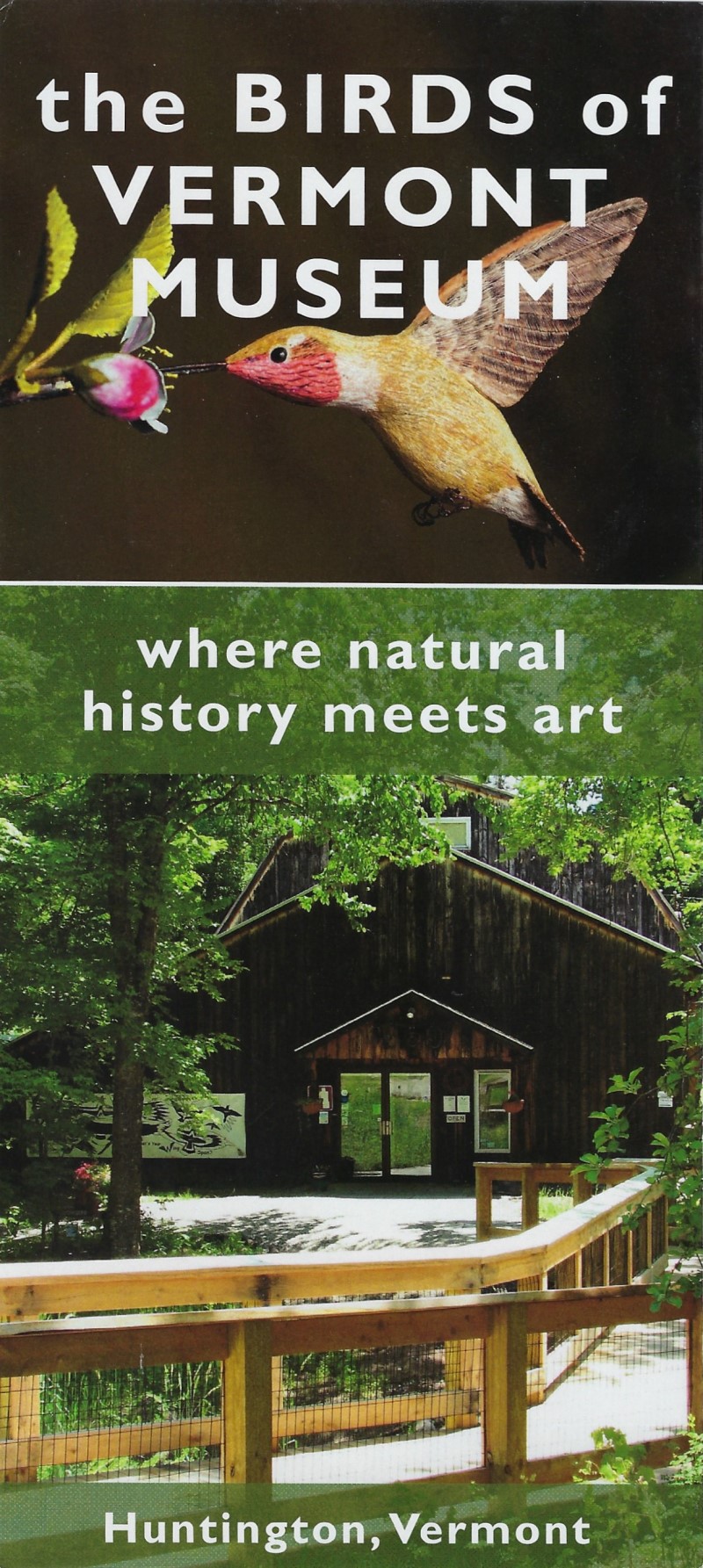 The Birds of Vermont Museum brochure thumbnail
