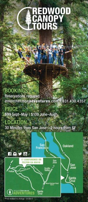 Zipline thru the Redwoods brochure full size
