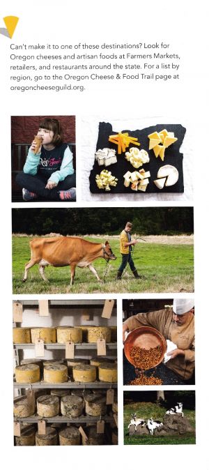 Cheese & Food Trail brochure thumbnail