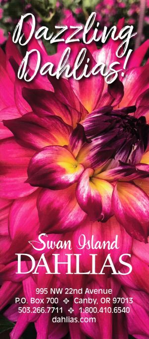 Swan Island Dahlias brochure full size