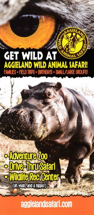 Aggieland Safari brochure thumbnail