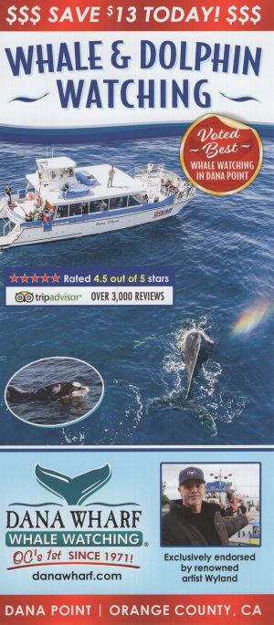 Dana Wharf Whale & Dolphin Watching brochure thumbnail