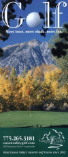Carson Valley Golf