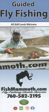 Fishmammoth.com