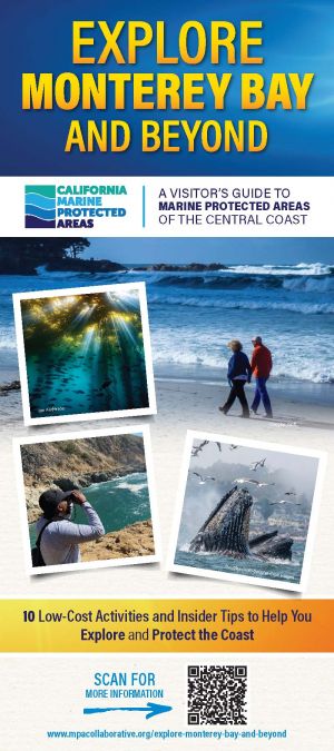 Coastal Trails and Tidepools brochure thumbnail