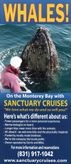 Sanctuary Cruises Whale Watch