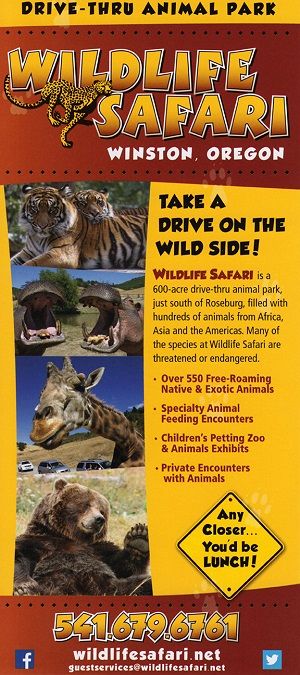 Wildlife Safari brochure thumbnail