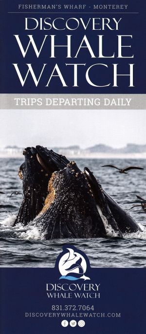 Discovery Whale Watch brochure full size