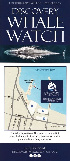Discovery Whale Watch brochure full size