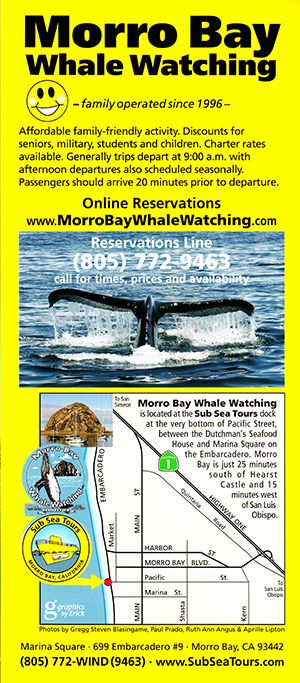 Whale Watch Tours brochure full size