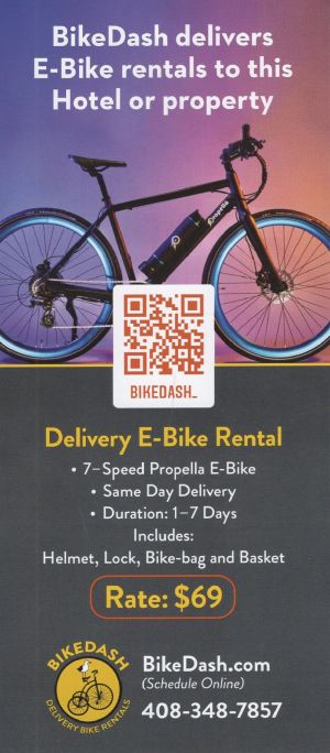 Bike Dash - E Bike Delivery brochure thumbnail