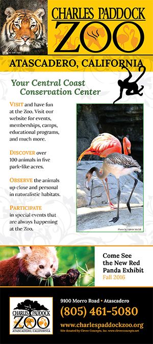 Charles Paddock Zoo brochure full size