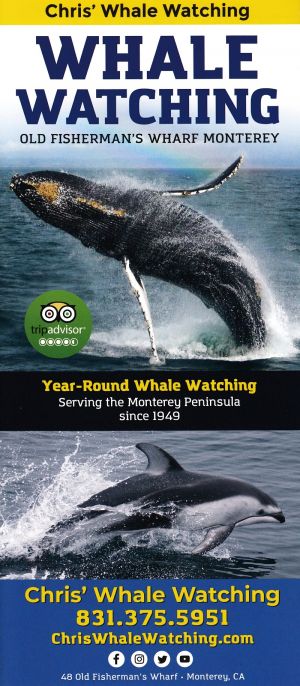 Chris' Whale Watching brochure thumbnail