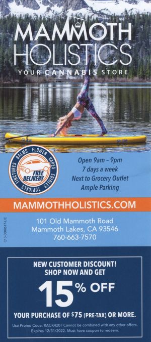 Mammoth Holistics brochure thumbnail
