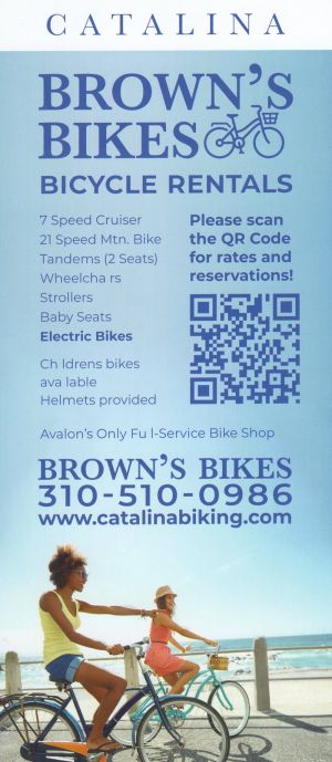 Brown's Bikes brochure thumbnail