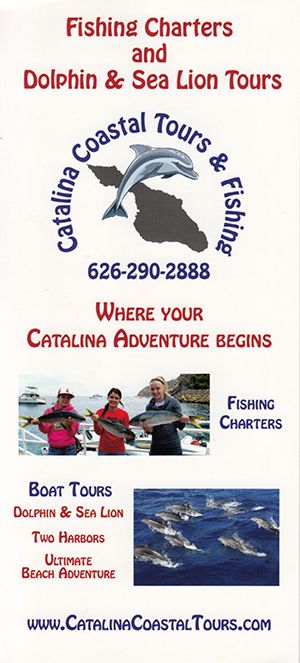 Catalina Coastal Tours brochure thumbnail