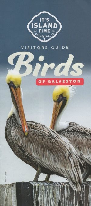 Galveston Birding brochure thumbnail