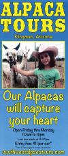 Alpacas of the Southwest