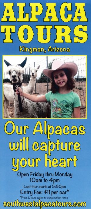 Alpacas of the Southwest brochure thumbnail