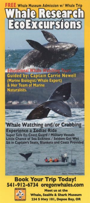 Whale Research EcoExcursions brochure thumbnail