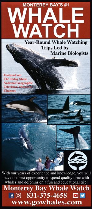Monterey Bay Whale Watch brochure full size