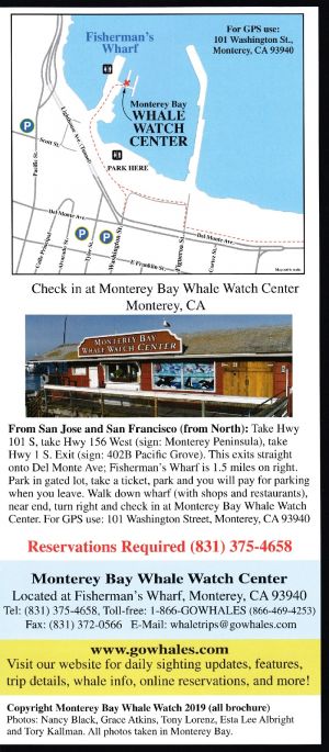 Monterey Bay Whale Watch brochure full size