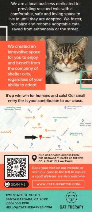 Cat Therapy brochure full size