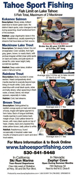 Tahoe Sport Fishing brochure thumbnail