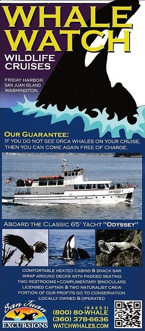 San Juan Excursions Whale Watch brochure thumbnail