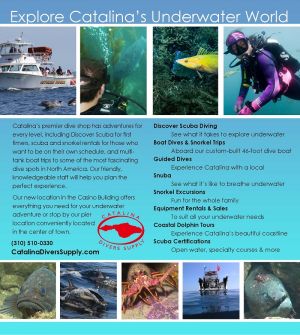 Catalina Divers Supply brochure thumbnail