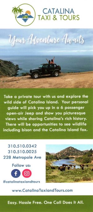 Charter Your Own Catalina Adventure brochure thumbnail