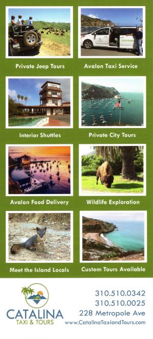 Charter Your Own Catalina Adventure brochure thumbnail