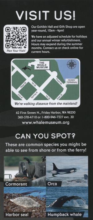 Whale Museum brochure thumbnail