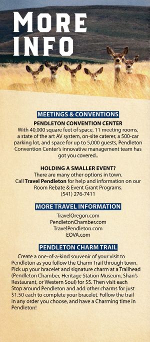 Pendleton Travel Brochure brochure thumbnail