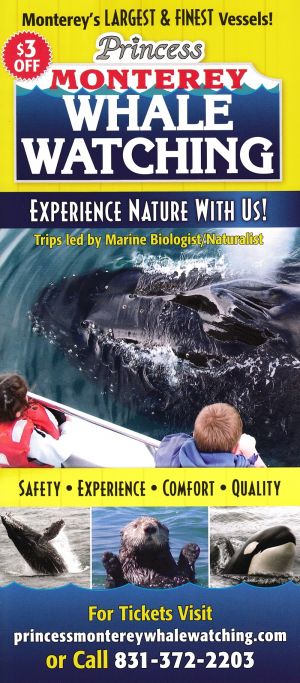 Princess Monterey Whale Watch brochure thumbnail