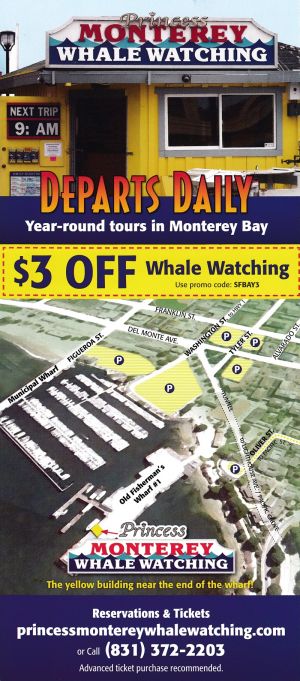 Princess Monterey Whale Watch brochure thumbnail