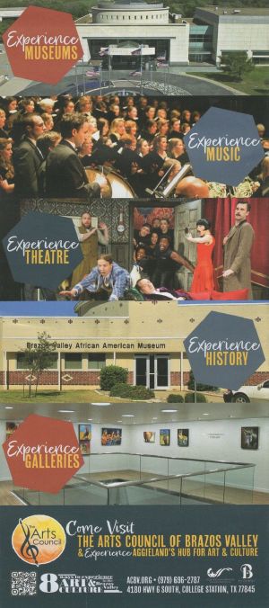 Insite Brazos Valley Mag brochure full size