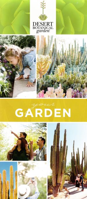 Desert Botanical Garden brochure thumbnail
