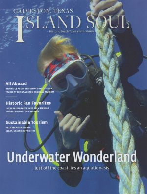 Island Soul Magazine brochure thumbnail