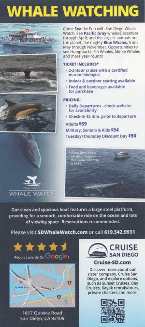 San Diego Whale Watching brochure thumbnail