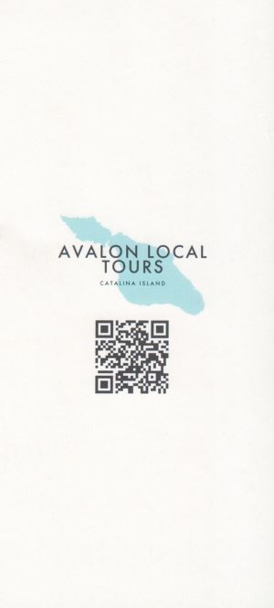 Avalon Local Tours brochure thumbnail