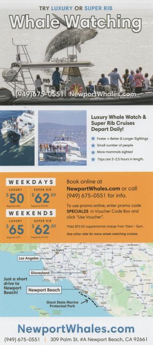 Newport Landing Whale Watching brochure thumbnail
