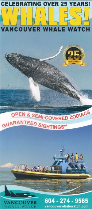 Vancouver Whale Watch brochure thumbnail