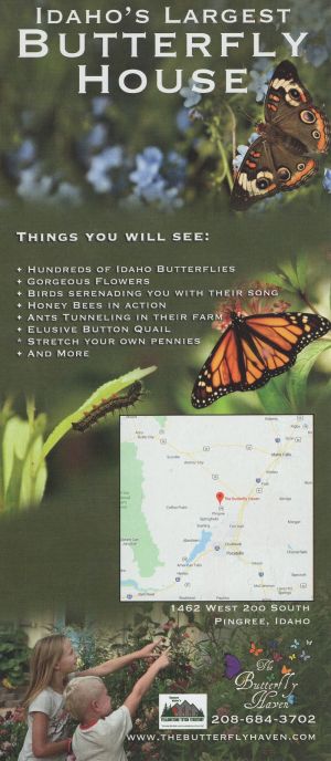 Butterfly Heaven brochure thumbnail