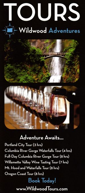 Wildwood Adventures brochure thumbnail