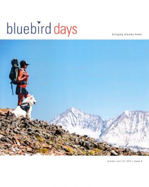 Bluebird Real Estate brochure thumbnail