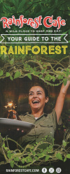 RainForest Cafe